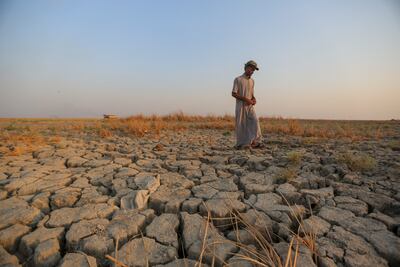 Drought in Syria has compounded the effects of the 12-year conflict. AP
