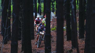 Robby De Bock from Belgium leads a pack of cyclists through a forest during Stage 2 of the Absa Cape Epic mountain bike race in Elgin, South Africa on Tuesday. Nic Bothma / EPA