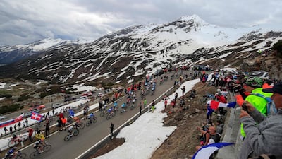 The peloton on the San Bernardino pass in Switzerland, during Stage 20 of the Giro d'Italia on Saturday, May 29. AFP