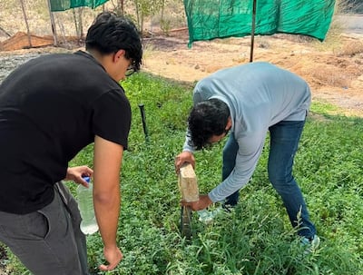The pupils have completed field studies in the UAE, India and Oman to help their project grow. Photo: Supplied