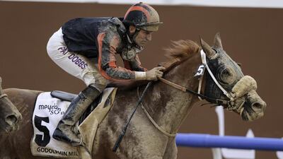Patrick Dobbs atop Second Summer races to victory in the Godolphin Mile during the Dubai World Cup. Christopher Pike / The National