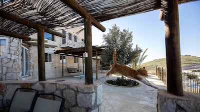 A guest house formerly advertised on Airbnb in the Nofei Prat West Bank settlement. AP