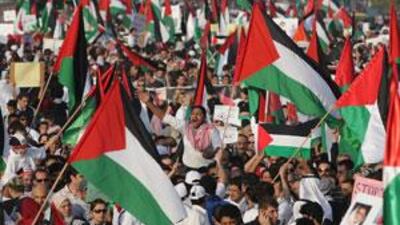 Protesters wave Palestinian flags during demonstrations on the Abu Dhabi Corniche. Marches in other emirates also opposed Israel's continuing campaign into Gaza.
