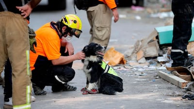 Onlookers gather as rescue workers dig through the rubble of a badly damaged building in Lebanon's capital Beirut in search of possible survivors from a mega-blast at the adjacent port one month ago. AFP