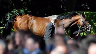 Frankel retired last season after winning all 14 of his races.