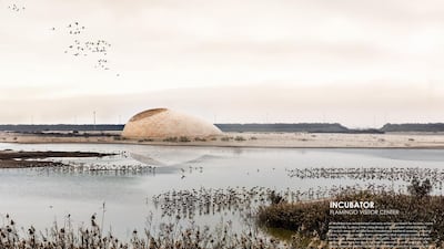 Wenqi Huang and Yi Yan, from the United States, won second place in the Abu Dhabi Flamingo Visitor Centre competition with their project Incubator. Courtesy Environment Agency – Abu Dhabi, EAD