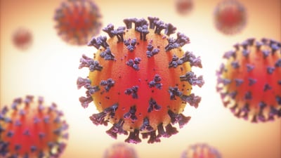 Covid-19 is here to stay. How it is managed is prompting much debate. Alamy