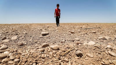 A boy walks through a parched field in the Saadiya area, north of Diyala, in eastern Iraq. Photo: AFP