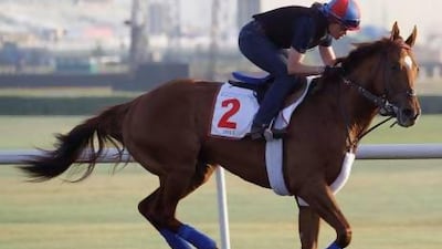 Animal Kingdom from the U.S. works out at the Meydan racecourse two days before the Dubai World Cup, the world's richest horse racing, in Dubai, United Arab Emirates, Thursday, March 28, 2013. (AP Photo/Kamran Jebreili)
