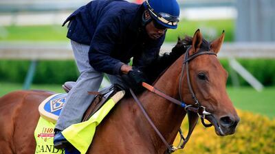 Candy Boy is ridden by Jelani Grant during the morning exercise session in preparation for the140th Kentucky Derby at Churchill Downs on April 29, 2014 in Louisville, Kentucky. Rob Carr/Getty Images/AFP