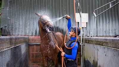 Ebrahim Nader enjoying his experience.