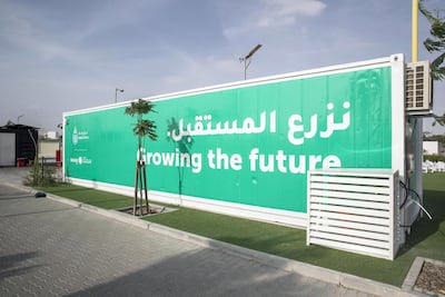 The crops are grown inside shipping containers. Antonie Robertson / The National)