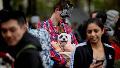 A dog dressed in a pig costume attends the Tompkins Square Halloween Dog Parade in Manhattan in New York City. AFP