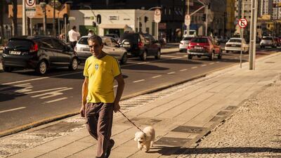 A resident of Curitiba in the Brazilian team colors walks his dog in on June 13, 2014. CJ Gunther / EPA