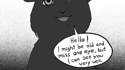 Courtesy Jenny Hefczyc