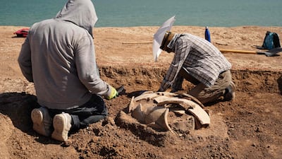 Kurdish members of the Dohuk Antiquities Department work on one of the graves