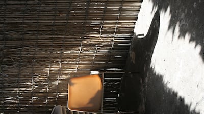 Piesik says that there are 42 million date palm trees in the UAE, and each one could produce 10 to 25 dried palm leaves every year