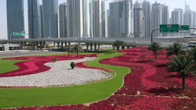 Picking the flowers in public parks and spaces could now land you with a Dh1,000 fine. Randi Sokoloff / The National