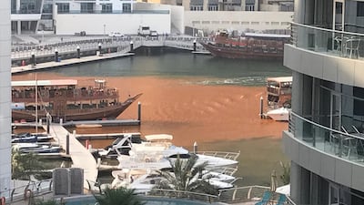 The waters of Dubai Marina turned orange on Thursday. Courtesy Stewart Clarke