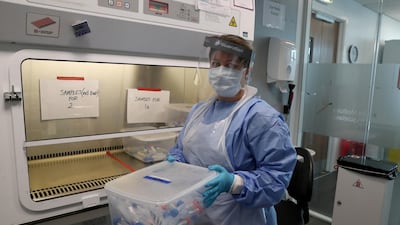 A technician works with test tubes containing live samples during the opening of a new COVID-19 testing lab. Reuters