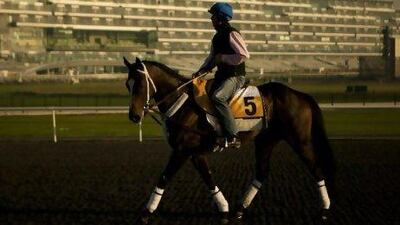 Presvis showed his potential by winning the Group 2 Al Rashidiya in January by more than four lengths, but has been difficult in training at the Meydan Racecourse this week.