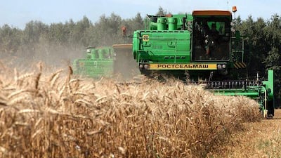 Egypt will buy an estimated 8 million tons of wheat in 2009/10 to meet annual consumption of 16 million tons.