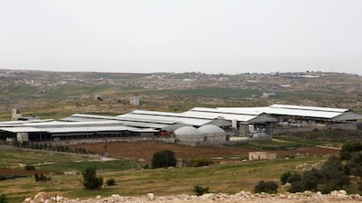 A picture taken on April 10, 2017 shows a general view of the Jebrini dairy farm in the West Bank town of Hebron, where cow dung is used to produce electricity as an alternative power source. - Power comes in many forms, but Palestinian cattle farmer Kamal al-Jebrini's family looked to where others may fear to tread for a new source of it: cow dung. The family has begun recycling waste from its cows to produce electricity for one of the largest Palestinian dairy plants and even to provide power to some houses. The project in the occupied West Bank is the first of its kind in the Palestinian territories, where renewable energy usually means solar panels. AFP