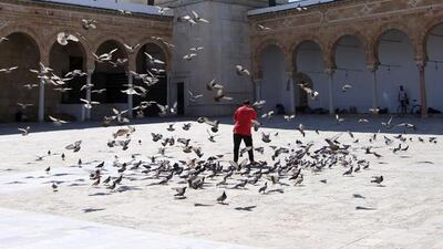A man feeds pigeons in the Zitouna mosque during the month of Ramadan in Tunis, Tunisia, on June 20, 2015. Zoubeir Souissi / Reuters