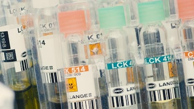 The internationally acclaimed artist's work 'Abu Dhabi' was the first to be commissioned for the Guggenheim's permanent collection and is screening for the first time at Abu Dhabi Art