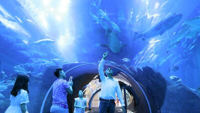 The Dubai Mall has an aquarium and underwater zoo in it. Pawan Singh / The National