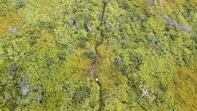 The journey over to East beach was tough. Iain McGregor/STUFF