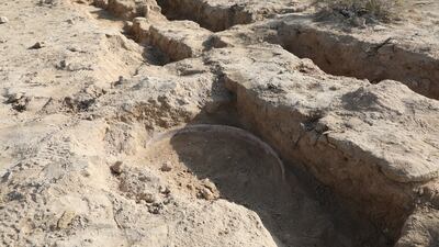 A jar popping out from the soil. Experts believe this may have been one of the tannour ovens or used for storage.