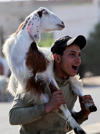 A seller with a sacrificial animal at a livestock market in Giza, on the outskirts of Cairo on May 21, 2026. Reuters