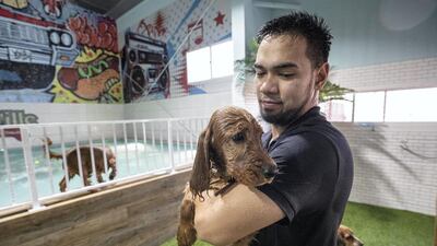 A dog waterpark has opened in Dubai's Al Quoz district. Petsville specially caters to dog owners that would like to give their pets some water-based exercise while also allowing them to cool down during the hot summer months. Antonie Robertson / The National