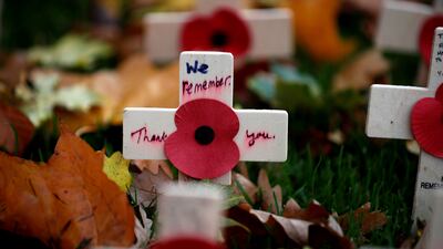 Poppies are seen at the Field of Remembrance in Saltwell Park in Gateshead. Reuters