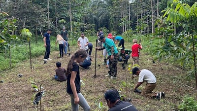 Pupils taking part in plant sampling in Borneo