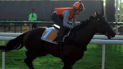 Lucky Quality is a horse trained by Me Tsui, one of several trainers involved in a doping scandal in Hong Kong. Haider Shah / AFP