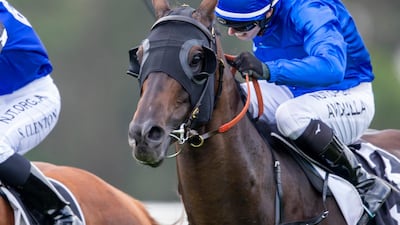 Gaulois at the Bowness Stud Mile during the Sydney Racing in February. Getty Images