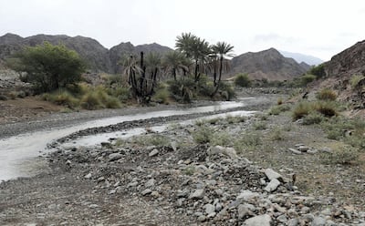 A stream flows through a wadi near Muna'i, Ras Al Khaimah. Chris Whiteoak / The National