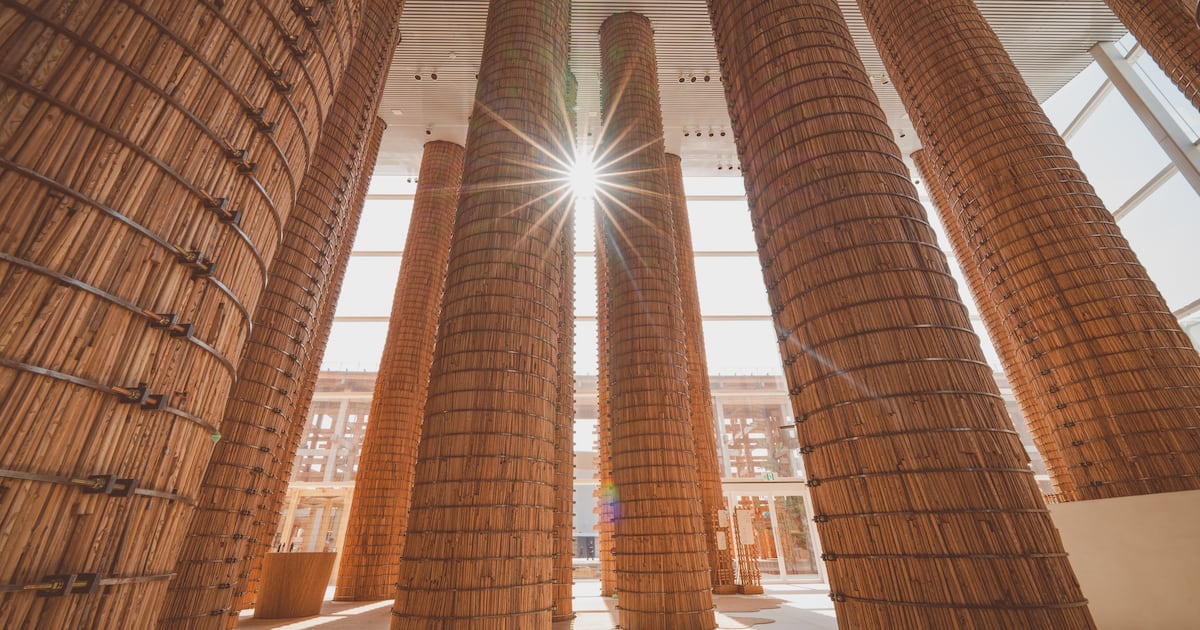 Date palms from UAE's Expo pavilion to help rebuilding efforts in ...