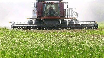 Agricultural exports from the United States to the UAE reached record levels in 2011. AP Photo / Seth Perlman