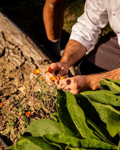 A kitchen garden in Tuscany, with The Luminaire. Photo: The Luminaire