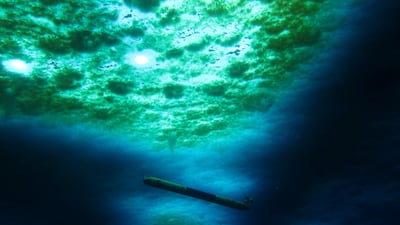 A robot nicknamed Icefin operates under the sea ice near McMurdo Station in Antarctica in 2020. AP