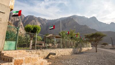 A farm decorated with UAE flags.