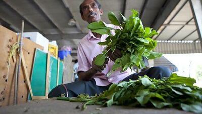 The cost of food in Abu Dhabi last month rose 1 per cent, in line with a general moderate increase in consumer prices across the emirate. Silvia Razgova / The National