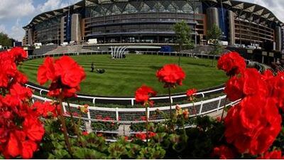 Ascot will host a purebred Arabian race on July 25.