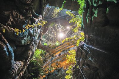 Guests can visit the Green Planet Dubai between 7pm and 9pm on Wednesdays throughout October. Courtesy Green Planet