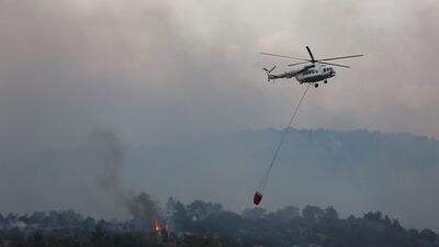 Wildfire burns near the village of Dadia in Greece, where the temperature is forecast to reach 42°C in some regions. Reuters