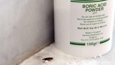 Boric acid is inexpensive and fatal to cockroaches. As long as it stays dry, it will remain effective indefinitely.