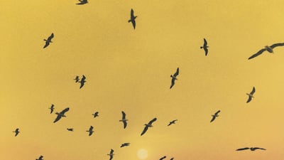 'No One Knows But The Sky' by Nabil, 2019. Photo: The Third Line / Youssef Nabil